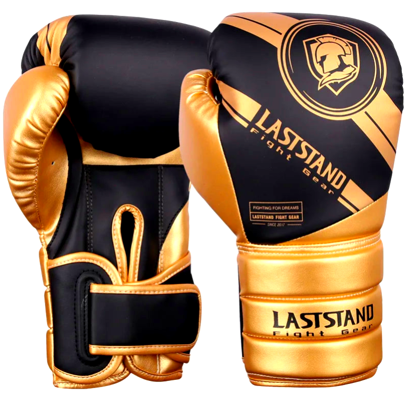 Gants de Boxe Premium –Entraînez-vous avec puissance